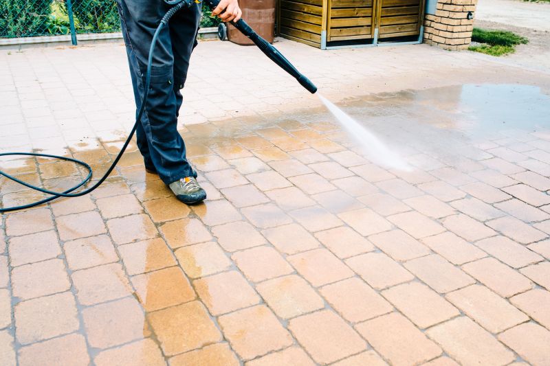 Driveway Pavers Cleaning