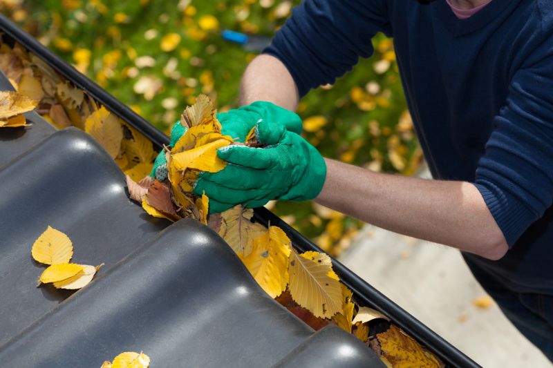 Gutter Leaf Clearing in Rochester, NY