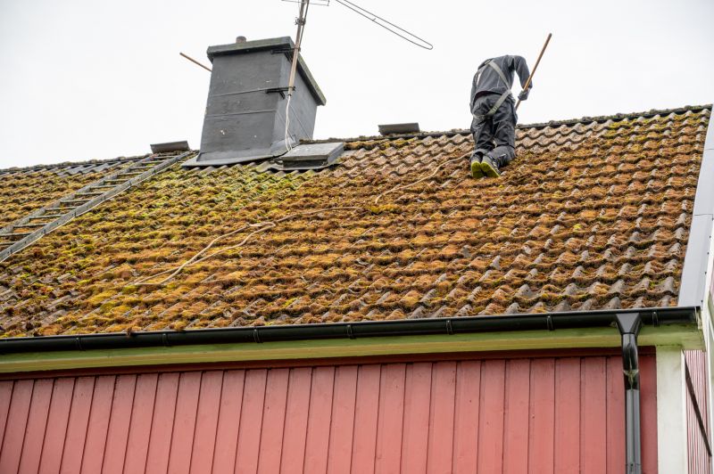 Roof Mold Cleaning in Vancouver, WA