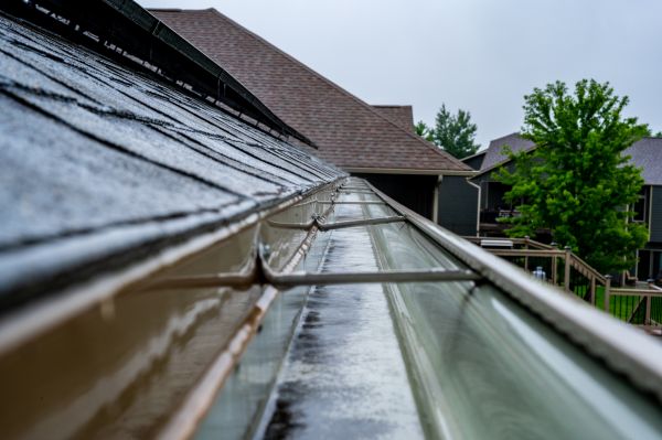 Window And Gutter Cleaning